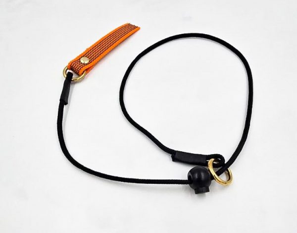4mm Training Collar - Image 4