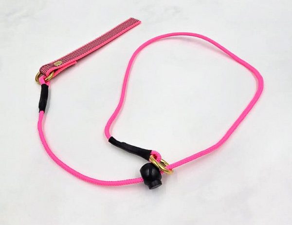 4mm Training Collar - Image 2